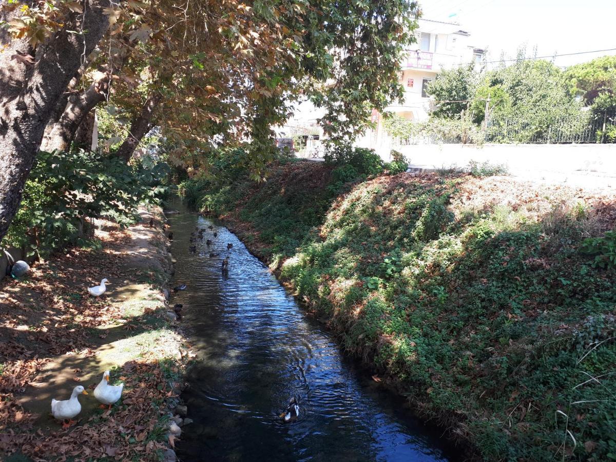 Samos Apart Pension Гюзельчамли Экстерьер фото