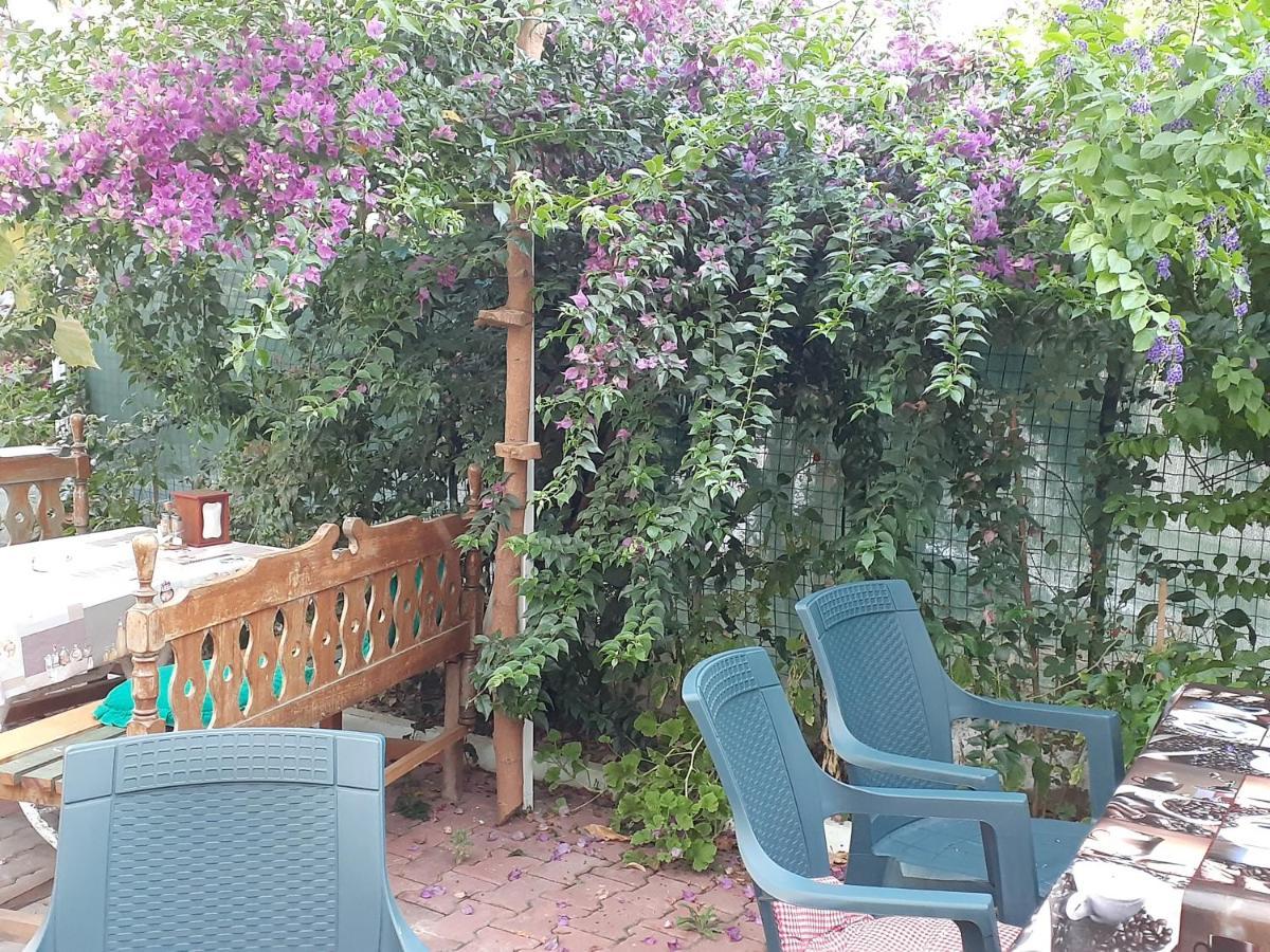 Samos Apart Pension Гюзельчамли Экстерьер фото