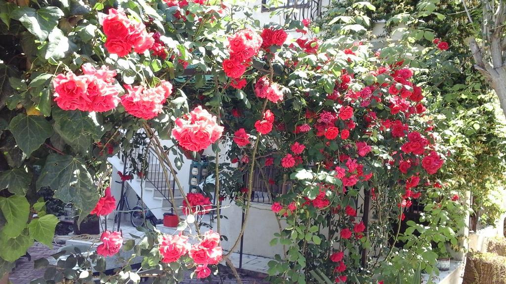 Samos Apart Pension Гюзельчамли Экстерьер фото