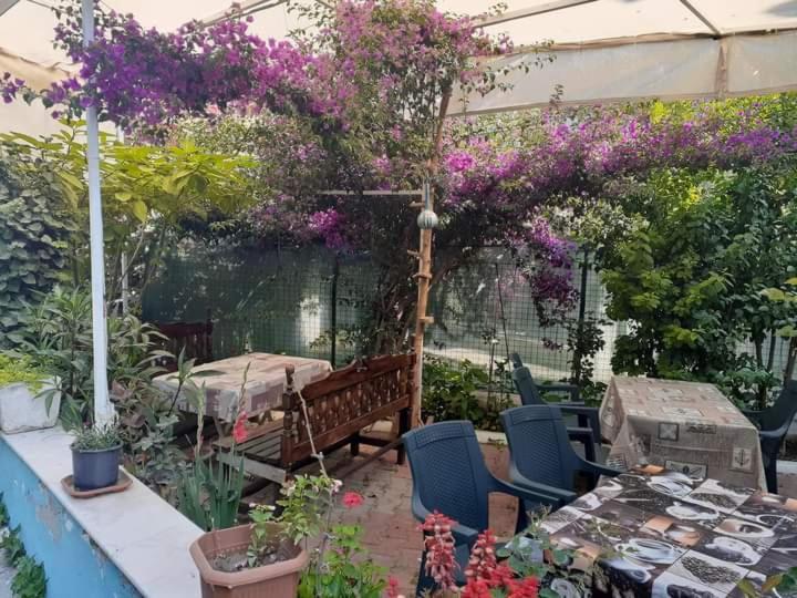 Samos Apart Pension Гюзельчамли Экстерьер фото