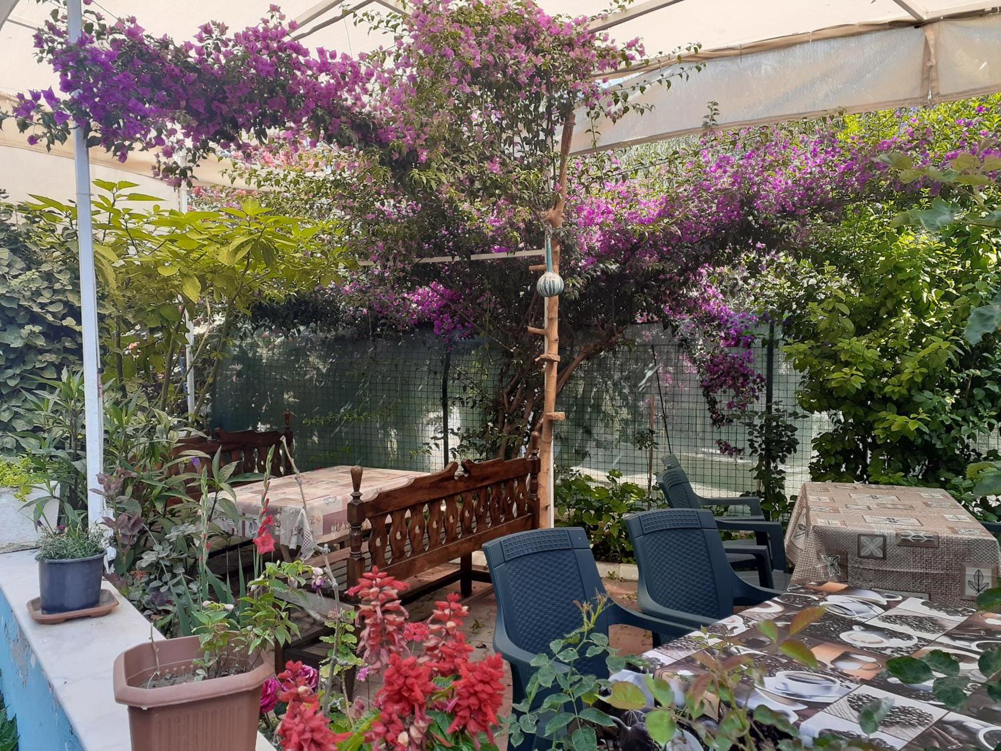 Samos Apart Pension Гюзельчамли Экстерьер фото