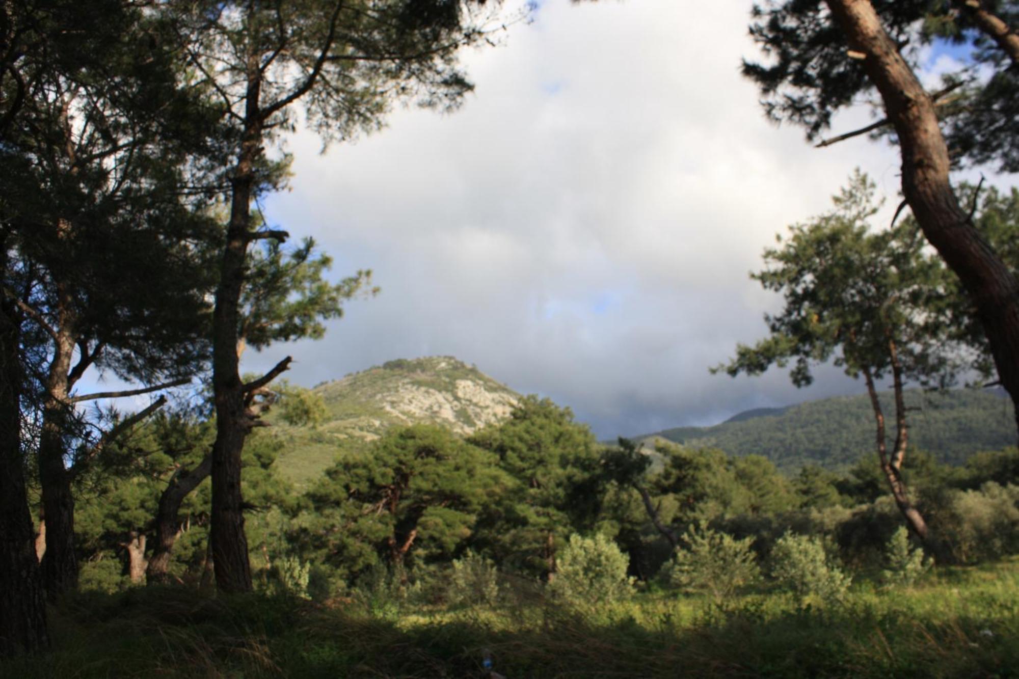 Samos Apart Pension Гюзельчамли Экстерьер фото
