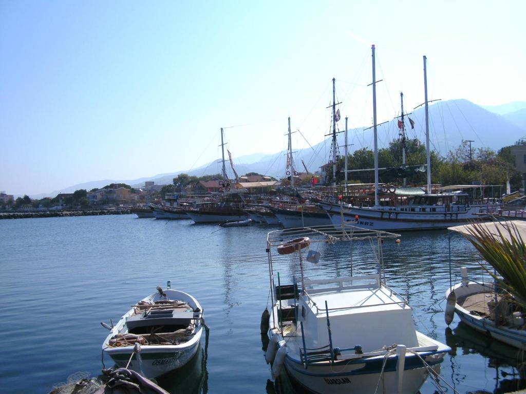 Samos Apart Pension Гюзельчамли Номер фото